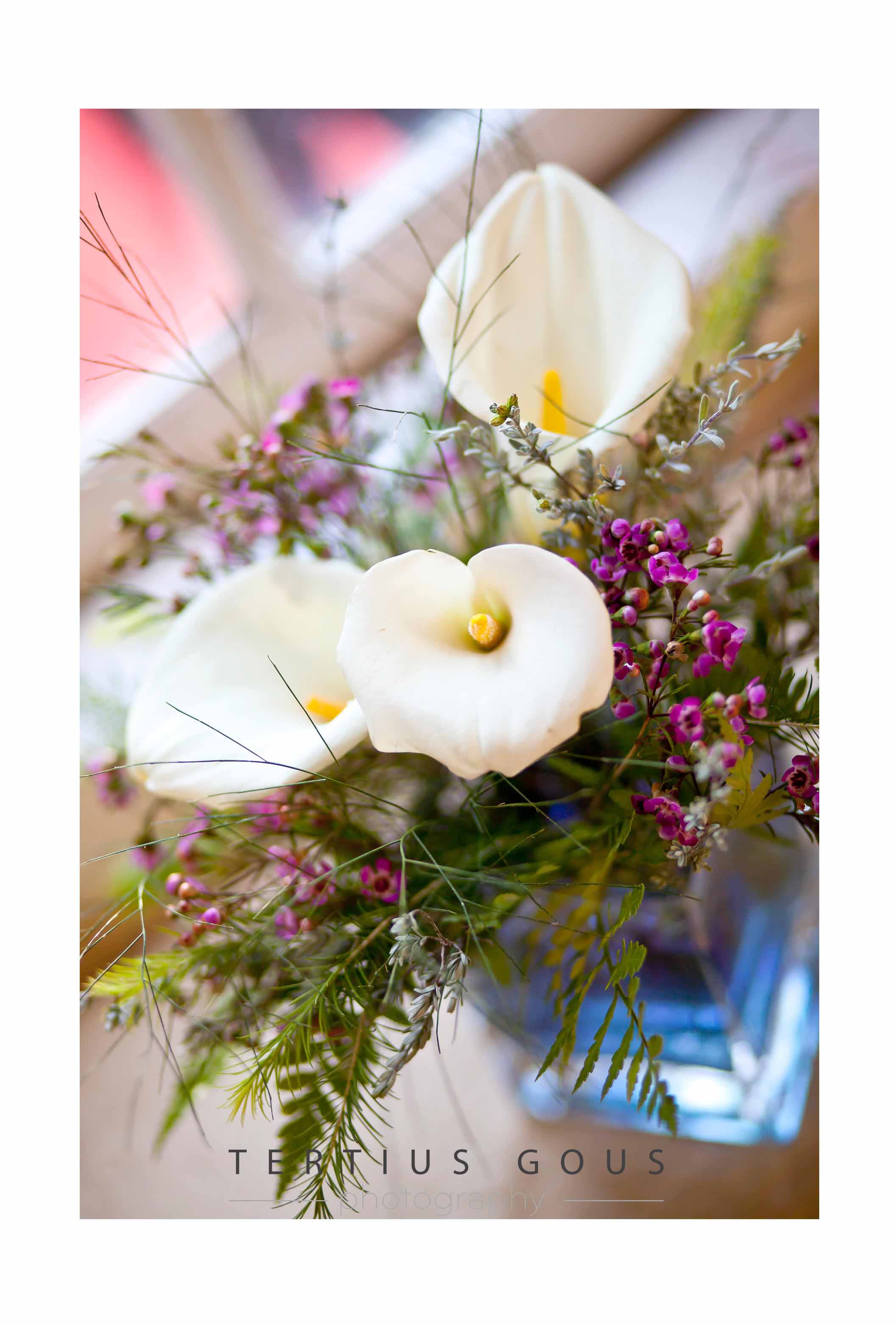 Cloete & Verena